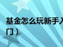 基金怎么玩新手入门视频（基金怎么玩新手入门）