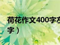 荷花作文400字左右优秀作文（荷花作文400字）