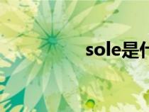 sole是什么意思（sole）