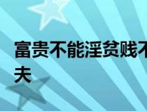 富贵不能淫贫贱不能移威武不能屈此之谓大丈夫