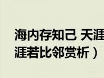 海内存知己 天涯若比邻理解（海内存知己天涯若比邻赏析）