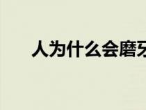 人为什么会磨牙的原因（磨牙的原因）