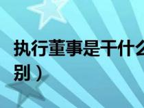 执行董事是干什么的（执行董事和董事长的区别）