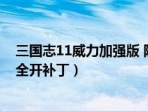 三国志11威力加强版 隐藏（三国志11威力加强版隐藏要素全开补丁）