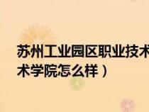 苏州工业园区职业技术学院怎么样?（苏州工业园区职业技术学院怎么样）