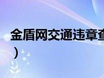 金盾网交通违章查询粤（金盾网交通违章查询）