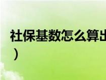 社保基数怎么算出来的公式（社保基数怎么算）