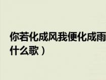 你若化成风我便化成雨是什么歌（你若化成风我幻化成雨是什么歌）