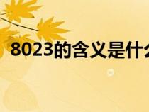 8023的含义是什么意思（含义是什么意思）