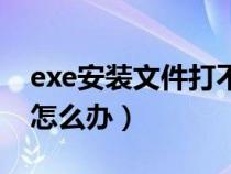 exe安装文件打不开（下载的exe文件打不开怎么办）