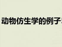 动物仿生学的例子50个（动物仿生学的例子）