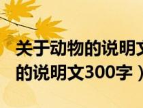 关于动物的说明文500字优秀作文（关于动物的说明文300字）