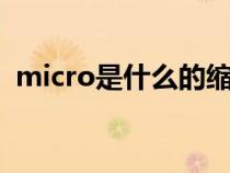 micro是什么的缩写（micron是什么单位）