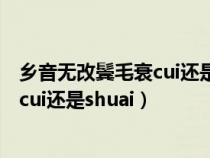 乡音无改鬓毛衰cui还是shuai什么意思（乡音无改鬓毛衰读cui还是shuai）