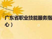 广东省职业技能服务指导中心官网（广东省职业技能指导中心）