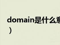 domain是什么意思呀（domain是什么意思）