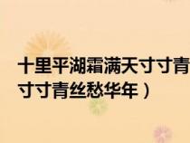 十里平湖霜满天寸寸青丝愁华年全诗意思（十里平湖霜满天寸寸青丝愁华年）