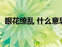 眼花缭乱 什么意思（眼花缭乱是什么意思）