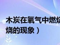 木炭在氧气中燃烧的现象为（木炭在氧气中燃烧的现象）