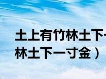 土上有竹林土下一寸金 猜一个字（土上有竹林土下一寸金）