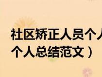 社区矫正人员个人总结100字（社区矫正人员个人总结范文）