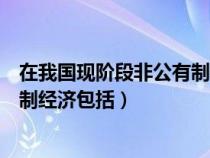 在我国现阶段非公有制经济包括哪些（在我国现阶段非公有制经济包括）