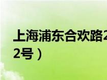 上海浦东合欢路2号共交车（上海浦东合欢路2号）