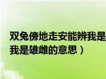 双兔傍地走安能辨我是雄雌的意思翻译（双兔傍地走安能辨我是雄雌的意思）