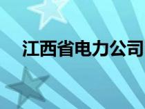 江西省电力公司电话（江西省电力公司）