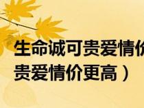 生命诚可贵爱情价更高是什么意思（生命诚可贵爱情价更高）