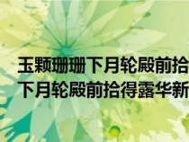 玉颗珊珊下月轮殿前拾得露华新的意思中心思想（玉颗珊珊下月轮殿前拾得露华新的意思）