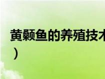 黄颡鱼的养殖技术大全（黄颡鱼实用养殖技术）