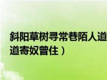 斜阳草树寻常巷陌人道寄奴曾住情感（斜阳草树寻常巷陌人道寄奴曾住）