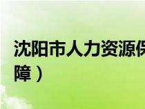 沈阳市人力资源保障局湛（沈阳市人力资源保障）