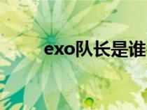 exo队长是谁名字（exo队长是谁）