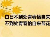 白日不到处青春恰自来苔花如米小也学牡丹开的作文（白日不到处青春恰自来苔花如米小作文）