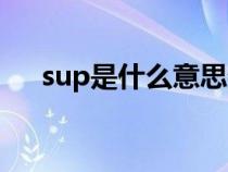 sup是什么意思数学（sup是什么意思）