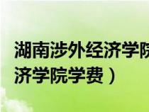 湖南涉外经济学院学费一年多少（湖南涉外经济学院学费）