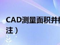 CAD测量面积并标注尺寸（cad测量面积并标注）