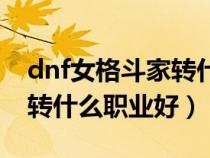 dnf女格斗家转什么职业好点（dnf女格斗家转什么职业好）