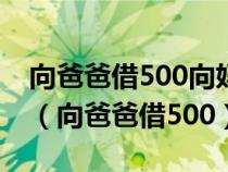 向爸爸借500向妈妈借500买双皮鞋970答案（向爸爸借500）