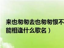 来也匆匆去也匆匆恨不能相逢图片（来也匆匆去也匆匆恨不能相逢什么歌名）