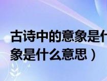 古诗中的意象是什么意思怎么写（古诗中的意象是什么意思）