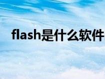 flash是什么软件图片（flash是什么软件）