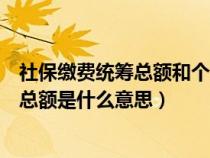 社保缴费统筹总额和个人总额的区别（社保统筹总额和个人总额是什么意思）