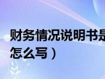 财务情况说明书是什么意思（财务状况说明书怎么写）