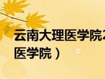 云南大理医学院2022录取分数线（云南大理医学院）