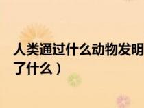 人类通过什么动物发明了什么东西（人类通过什么动物发明了什么）