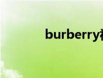 burberry视频（burberrys）