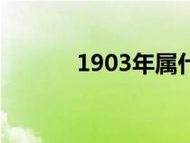 1903年属什么生肖（1903年）